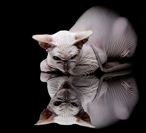 《战术大师：破解大型赛事中的高端配合》，战术大师中文版