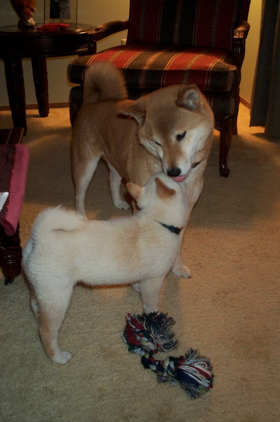 攀岩救援技能比赛，锻炼实用救援技巧，攀岩 技能